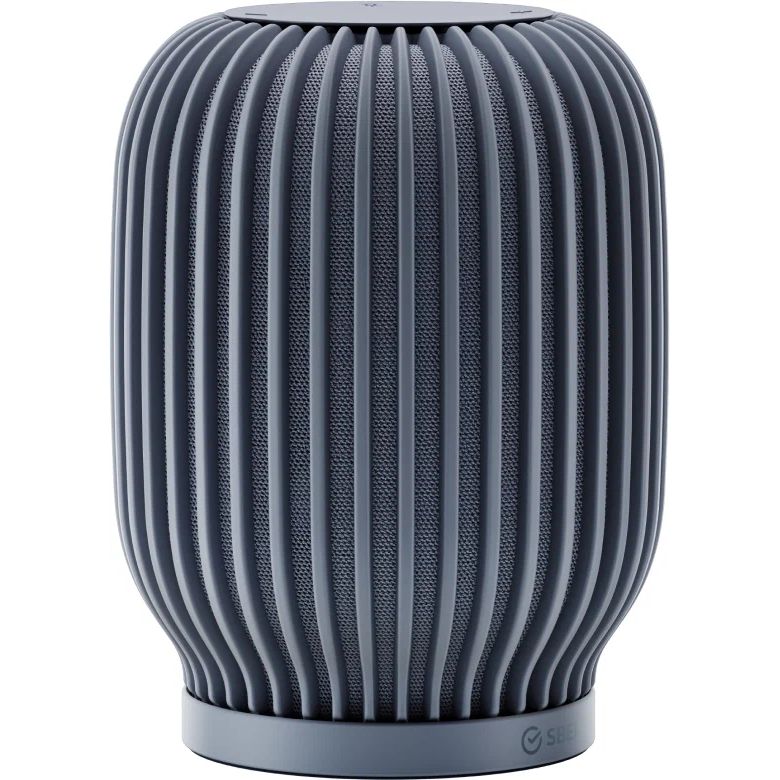 ����� ������� SberBoom, ������ �����