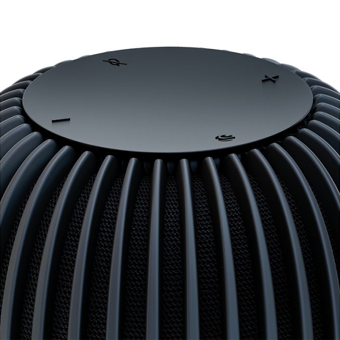 ����� ������� SberBoom, ������