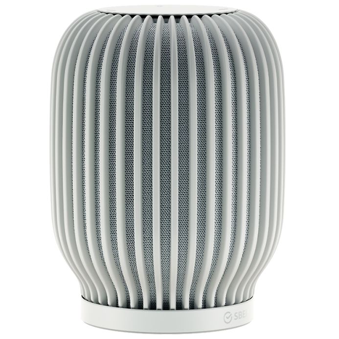 ����� ������� SberBoom, �����