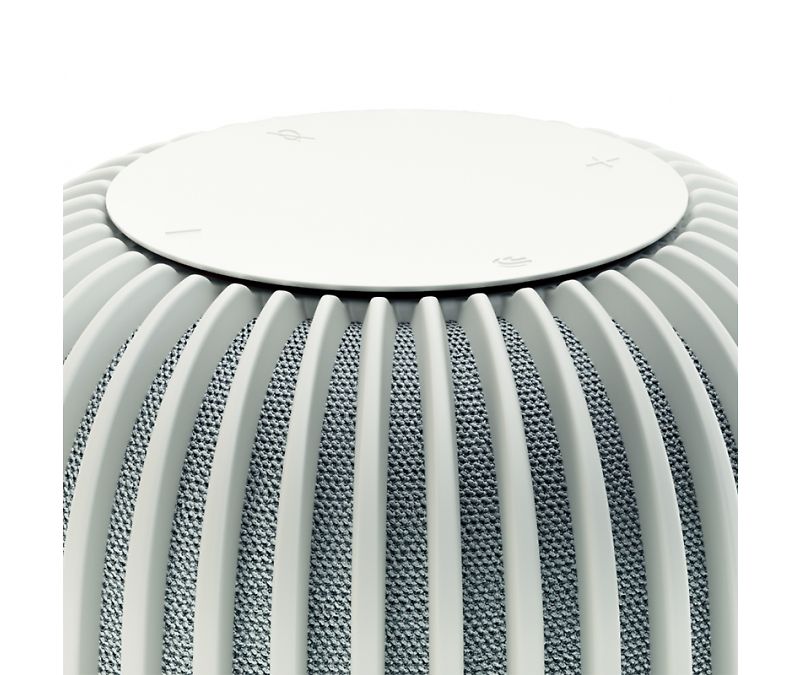 ����� ������� SberBoom, �����