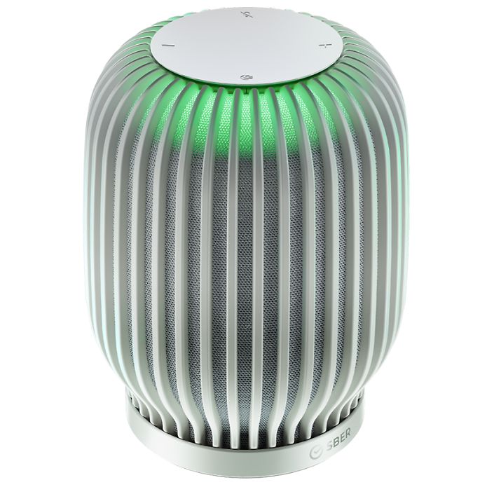 ����� ������� SberBoom, �����