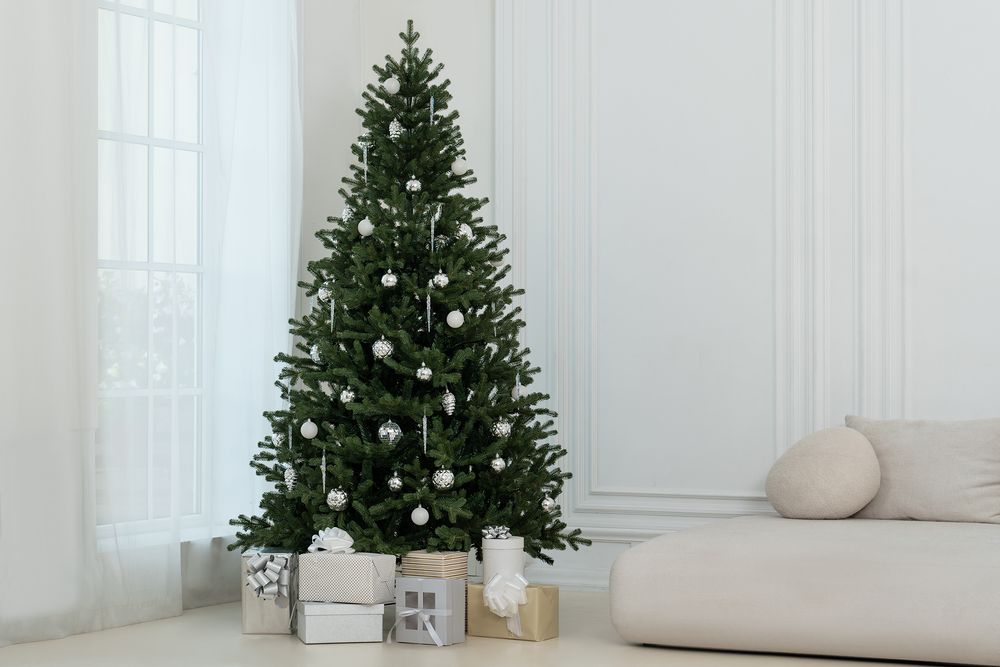 ������������� ��� Ms.Tree, 210 ��