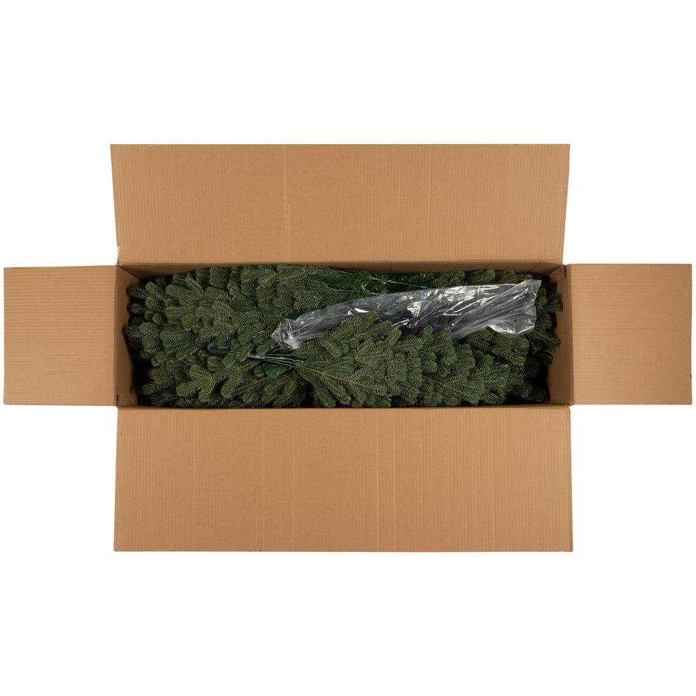 ������������� ��� Ms.Tree, 210 ��