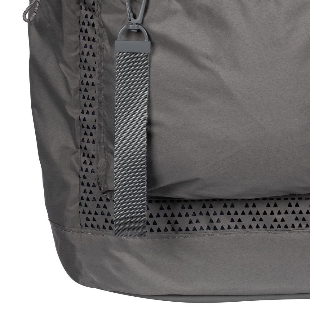 ������� Dominus, �, �����