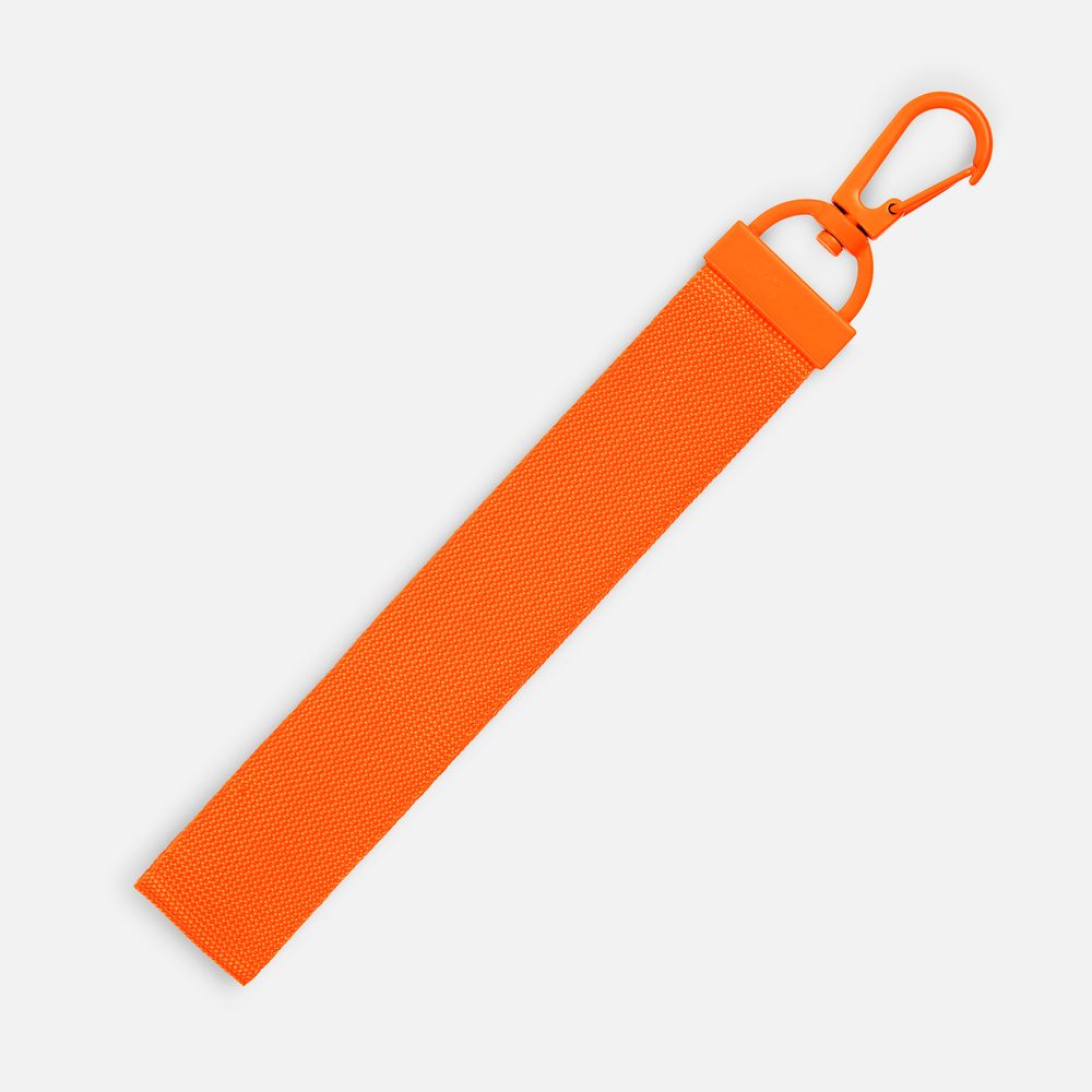 ������� Dominus, �, ��������� ����