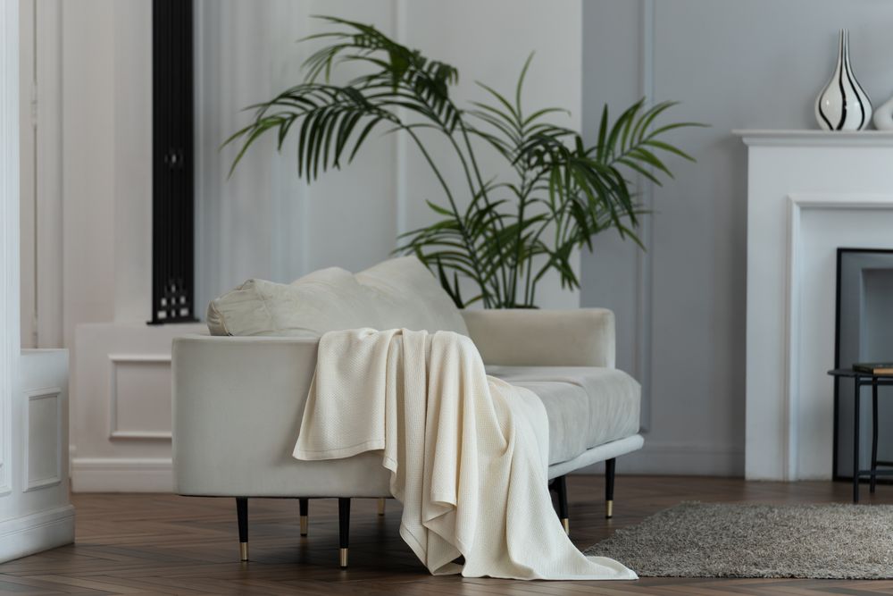 ���� Ornato, �������-����� (���������)