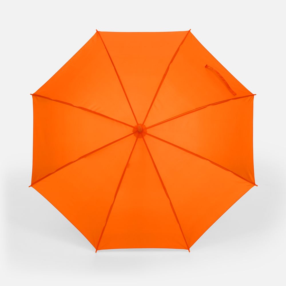 ����-������ Promo, ���������