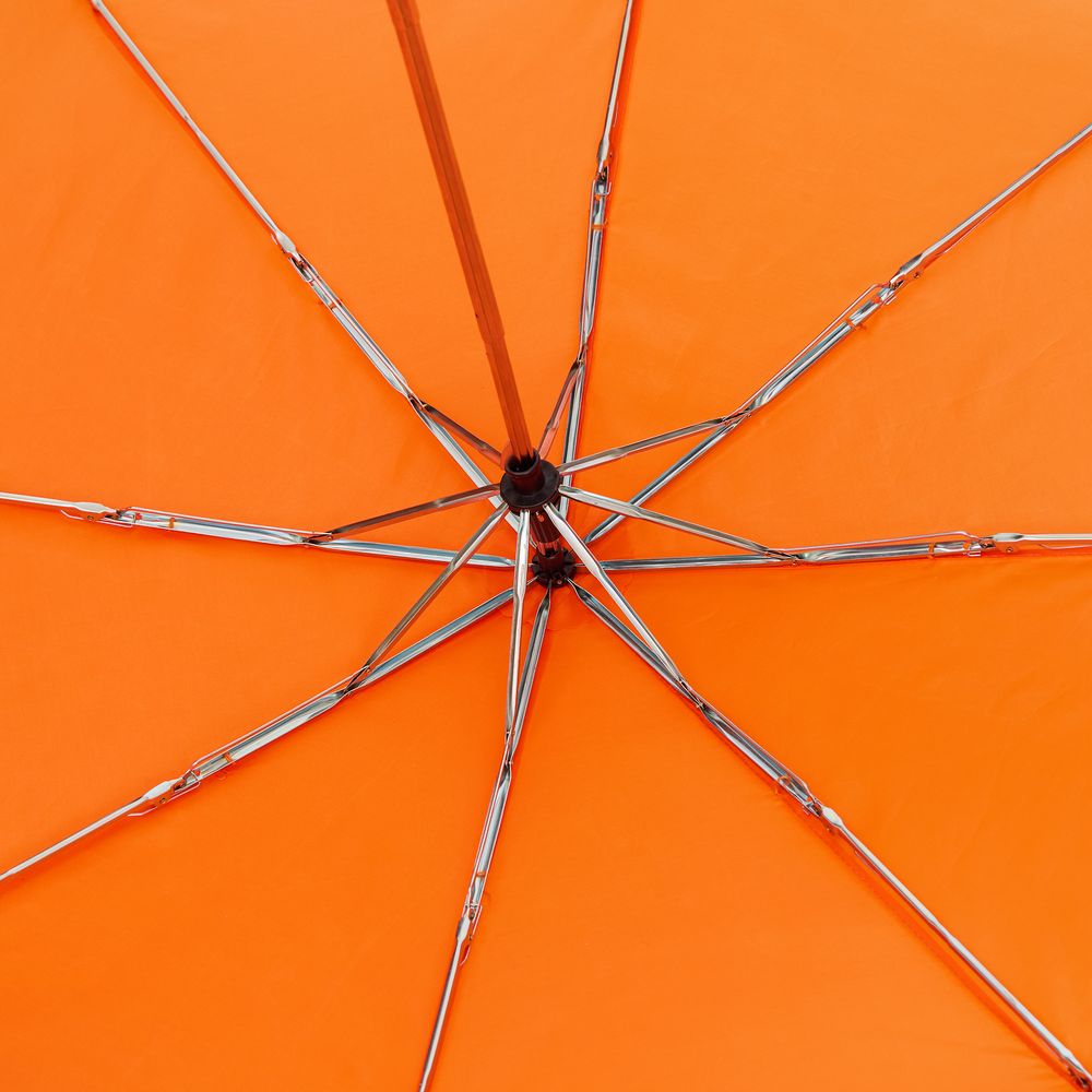 ���� �������� Basic, ���������