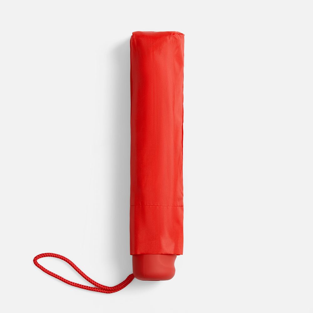 ���� �������� Basic, �������