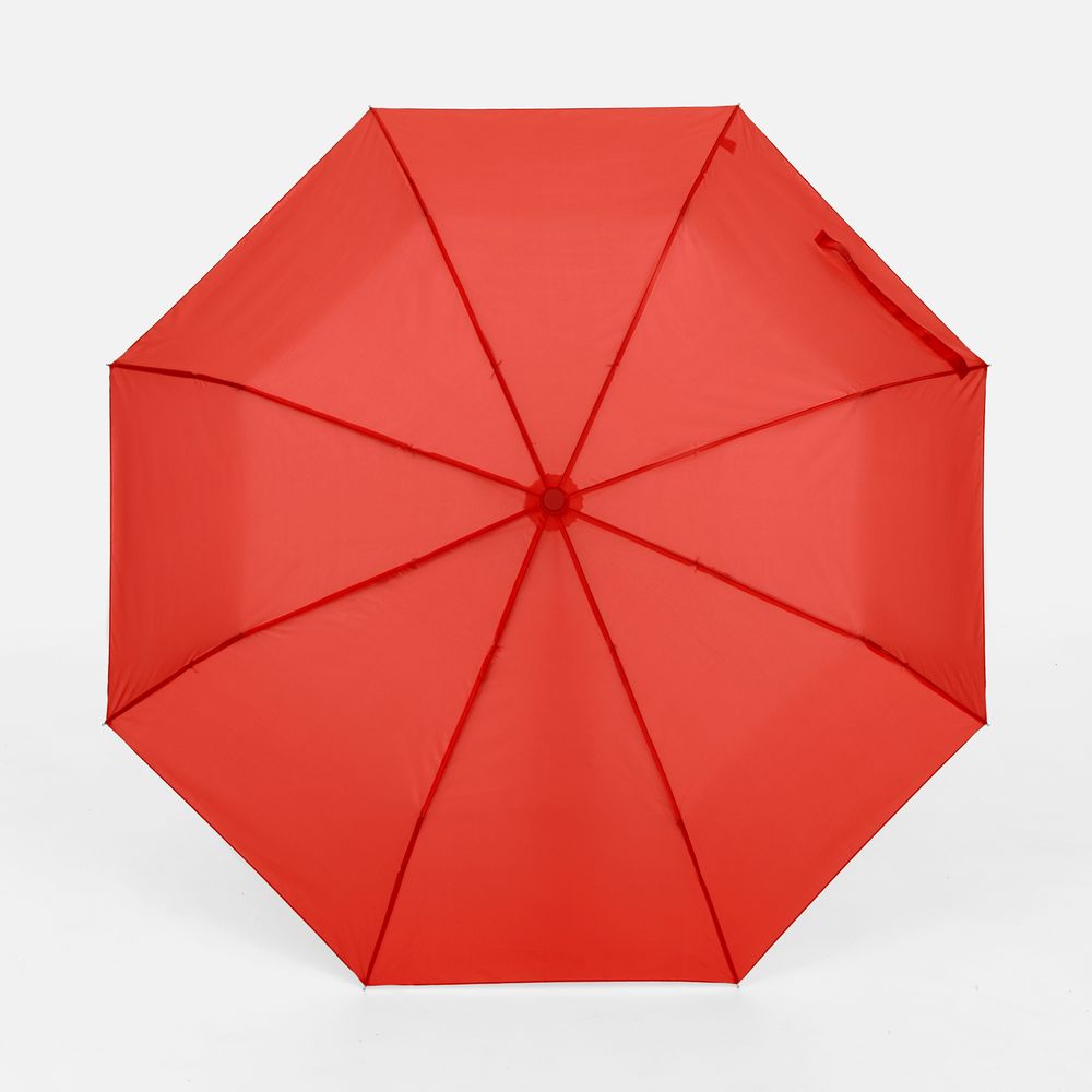 ���� �������� Basic, �������