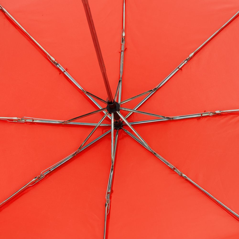 ���� �������� Basic, �������