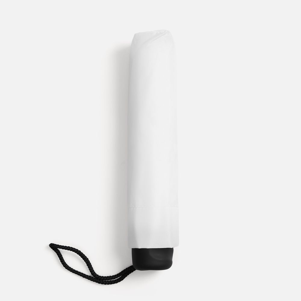 ���� �������� Basic, �����