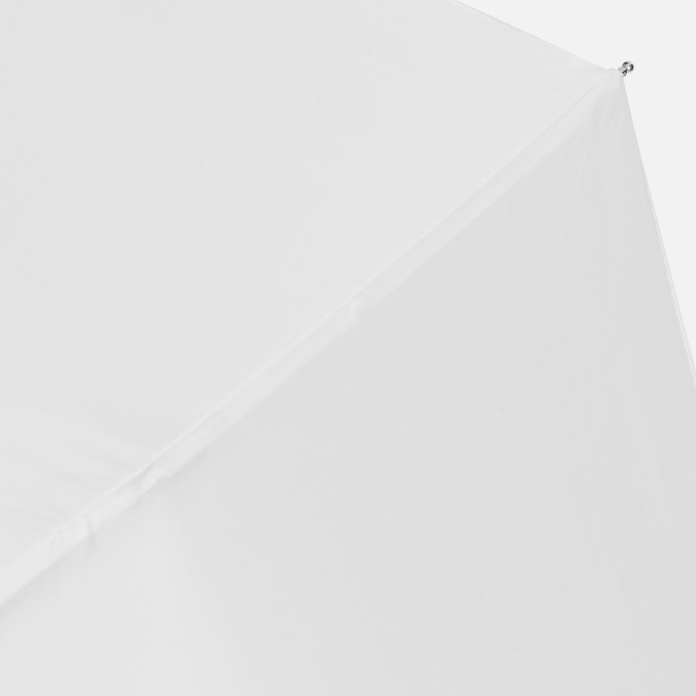 ���� �������� Basic, �����