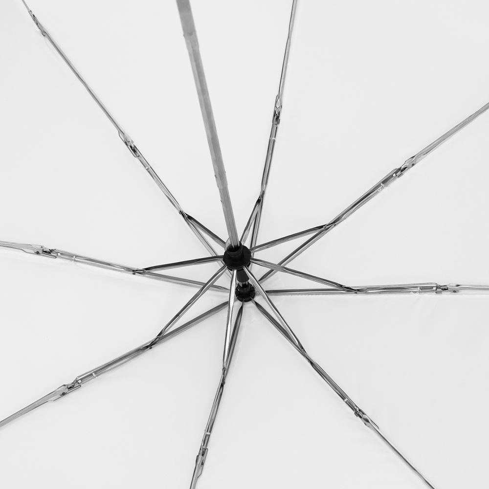 ���� �������� Basic, �����