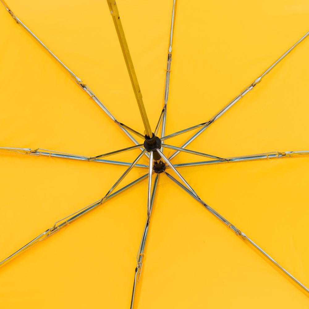 ���� �������� Basic, ������