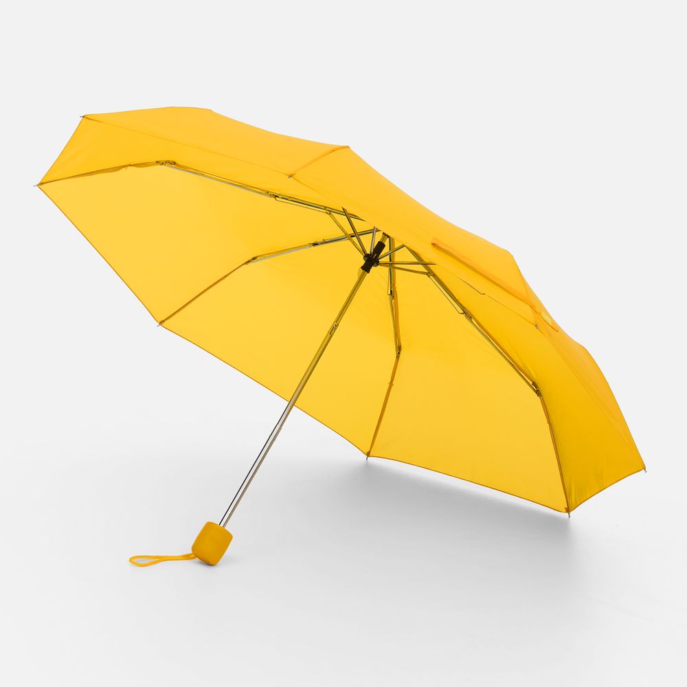 ���� �������� Basic, ������