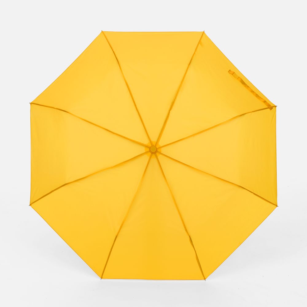 ���� �������� Basic, ������