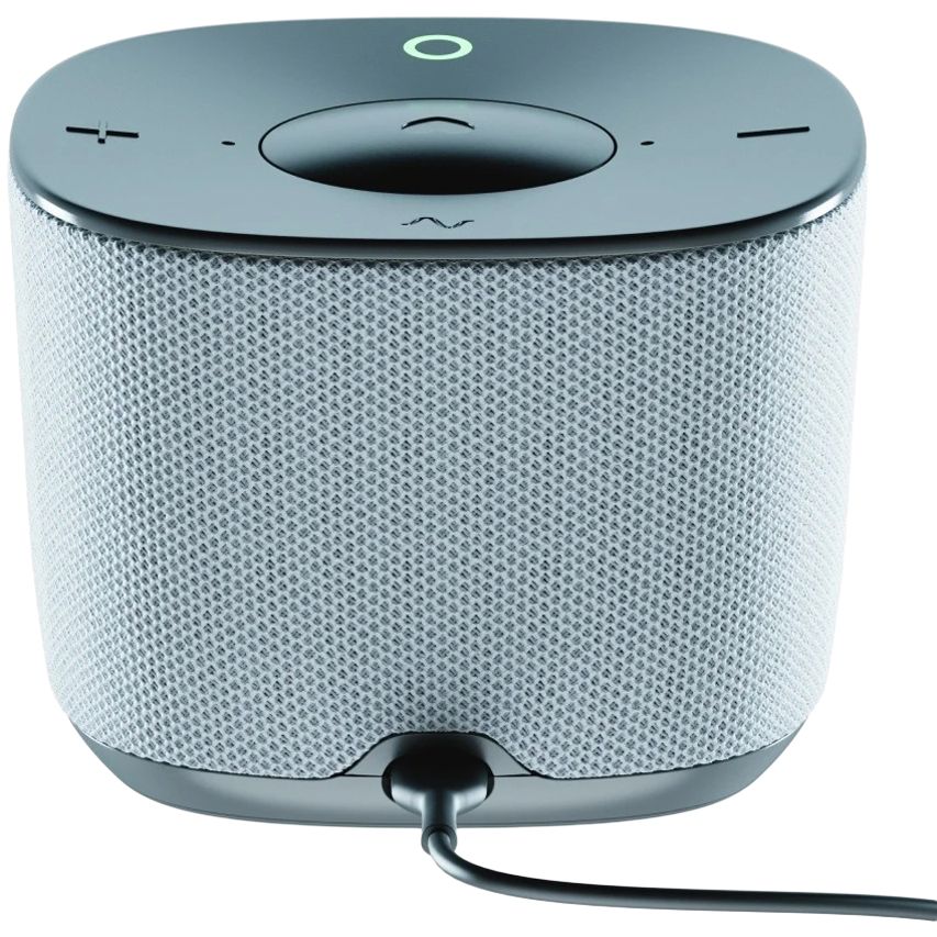 ����� ������� SberBoom Home, �����