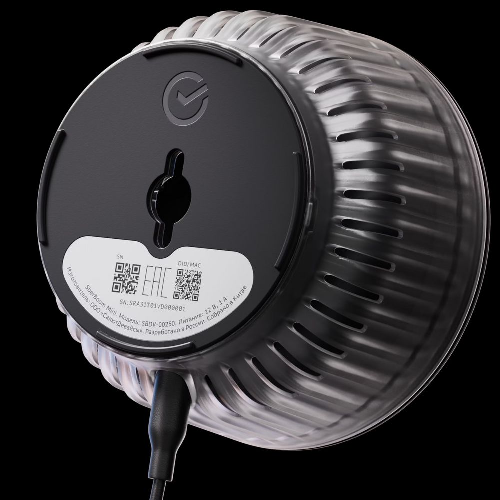 ����� ������� SberBoom Mini 2, ������