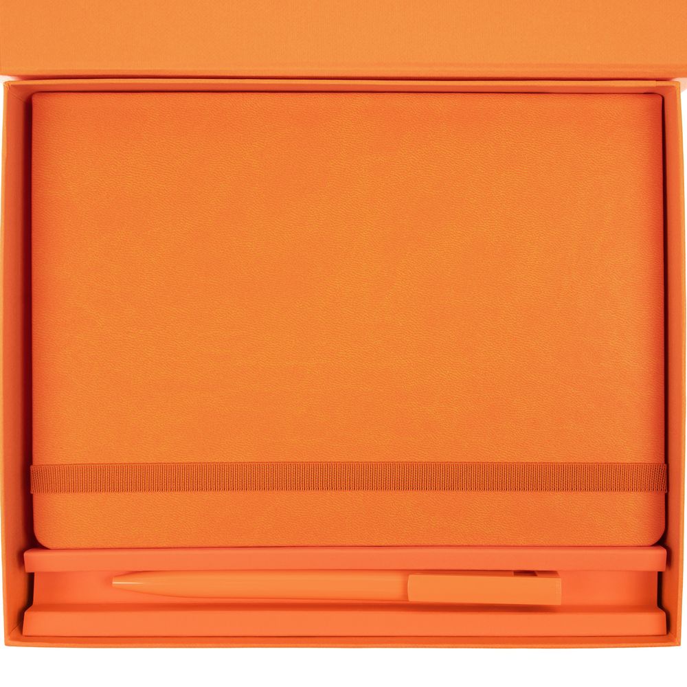 ����� New Factor, ���������