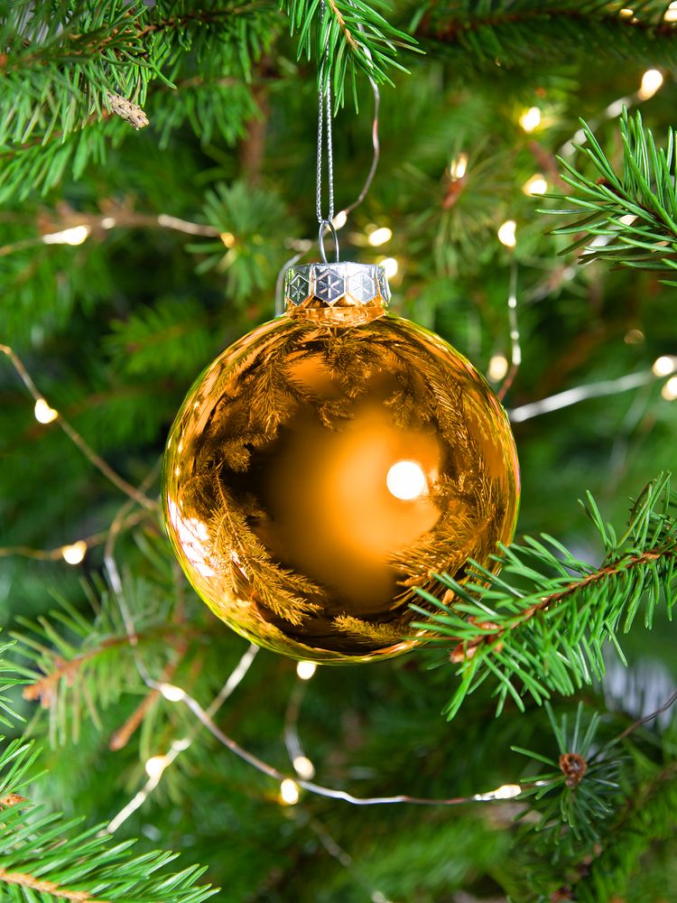 ������� ��� Finery Gloss, 8 ��, ��������� ���������