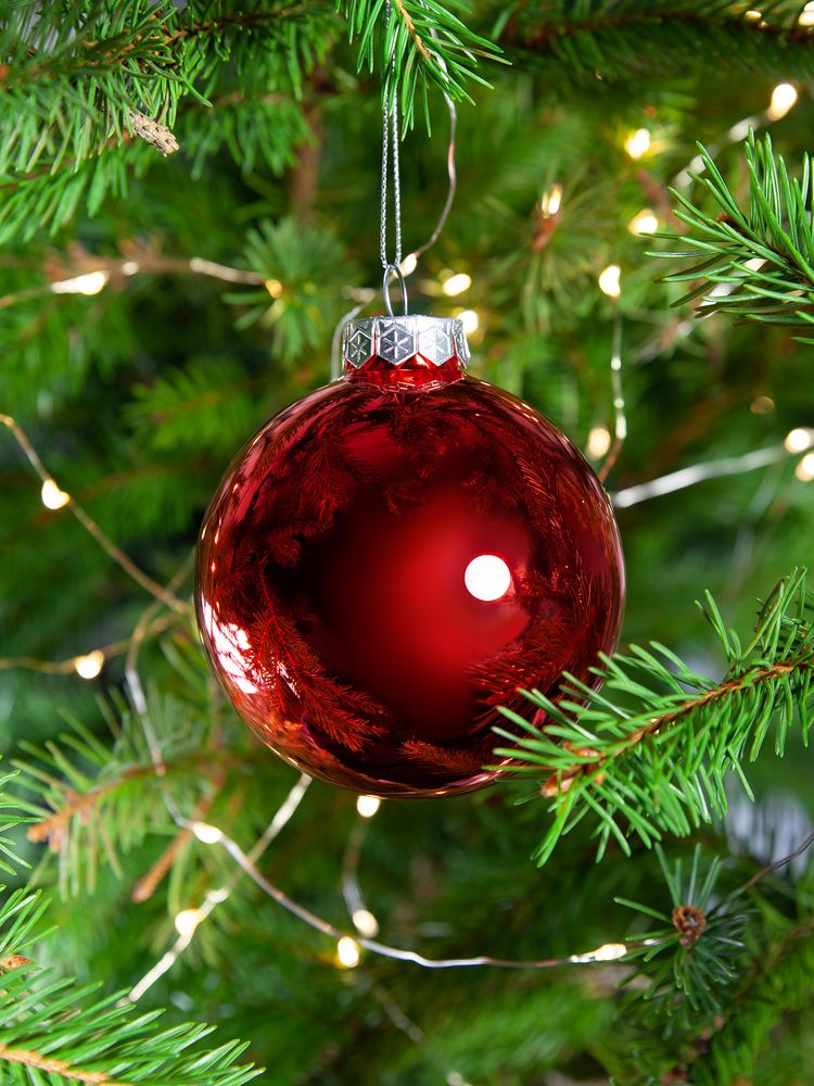 ������� ��� Finery Gloss, 8 ��, ��������� �������