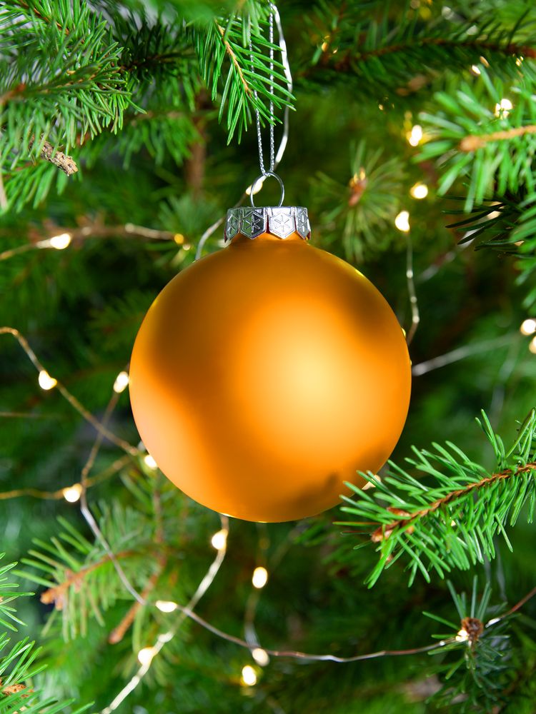 ������� ��� Finery Matt, 8 ��, ������� ���������