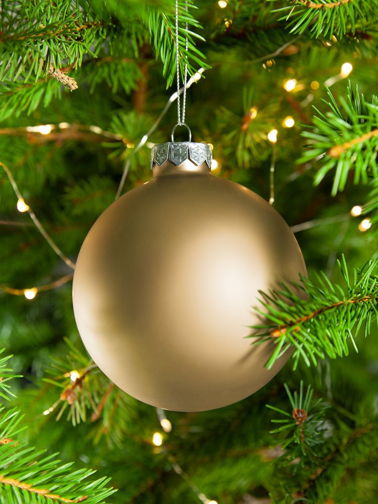 ������� ��� Finery Matt, 10 ��, ������� ����������