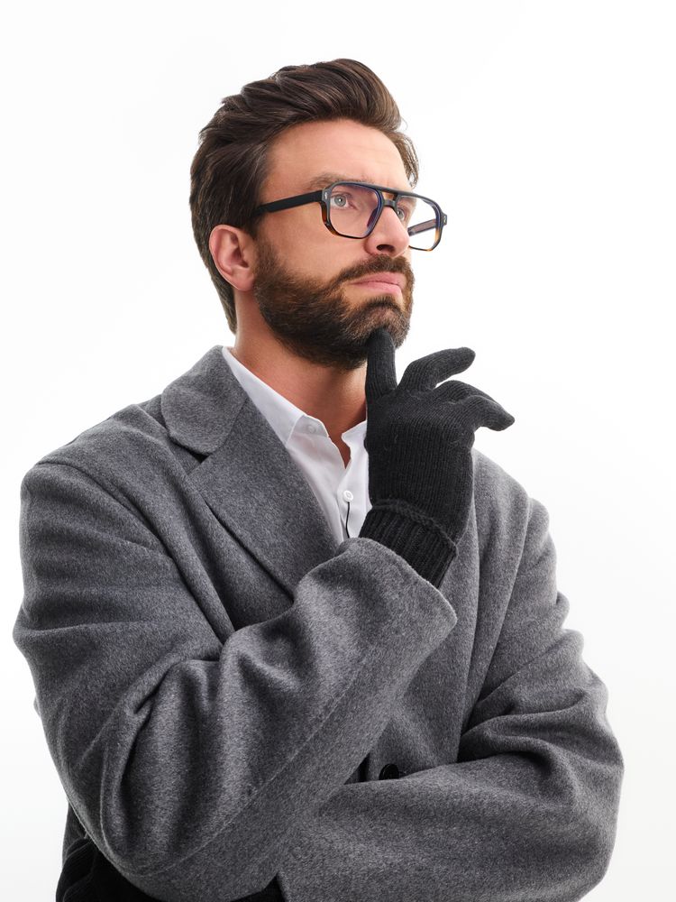 �������� Alpine, ������