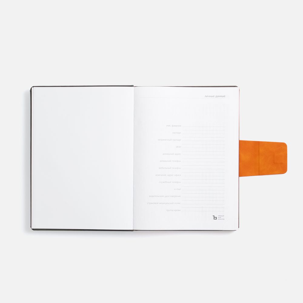 ���������� Grande Strap �� �����, ������������, �����