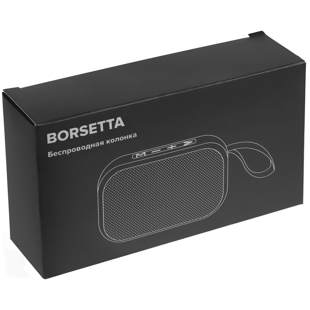 ������������ ������� � FM-����� Borsetta, �����