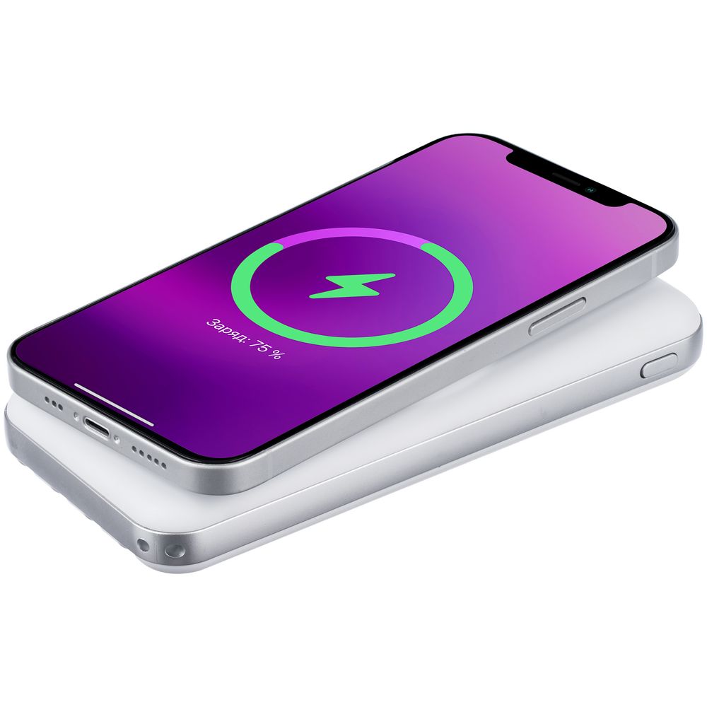 ������� ����������� Omni Pro 10000 ���, �����