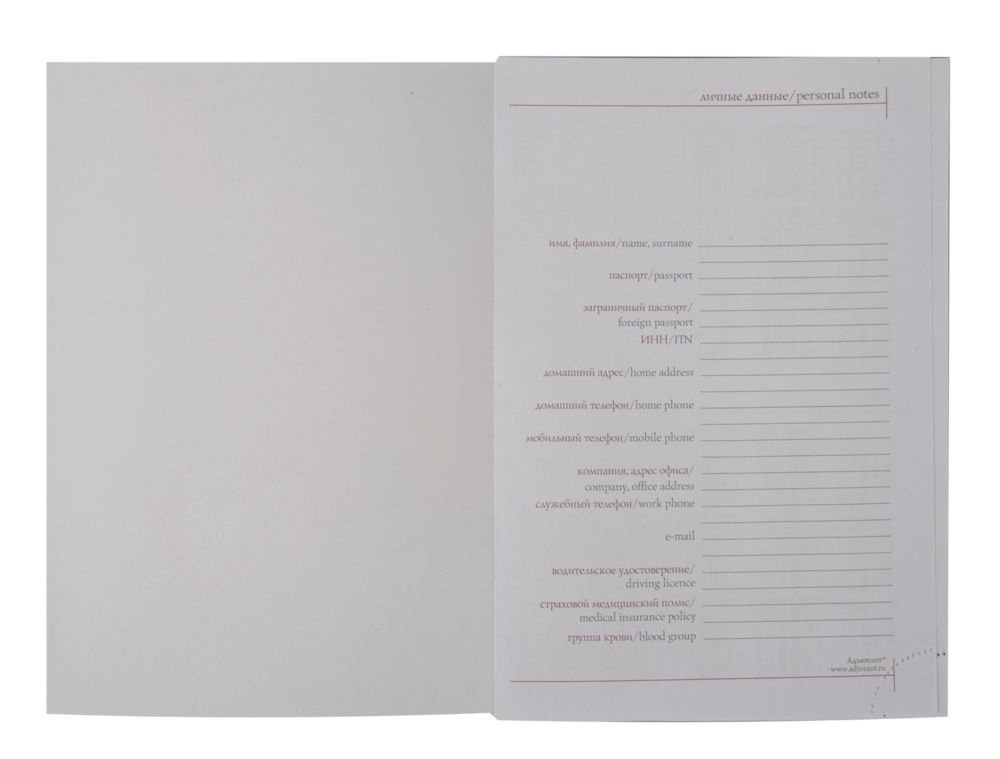 ���������� BRAND, ��������������, �������