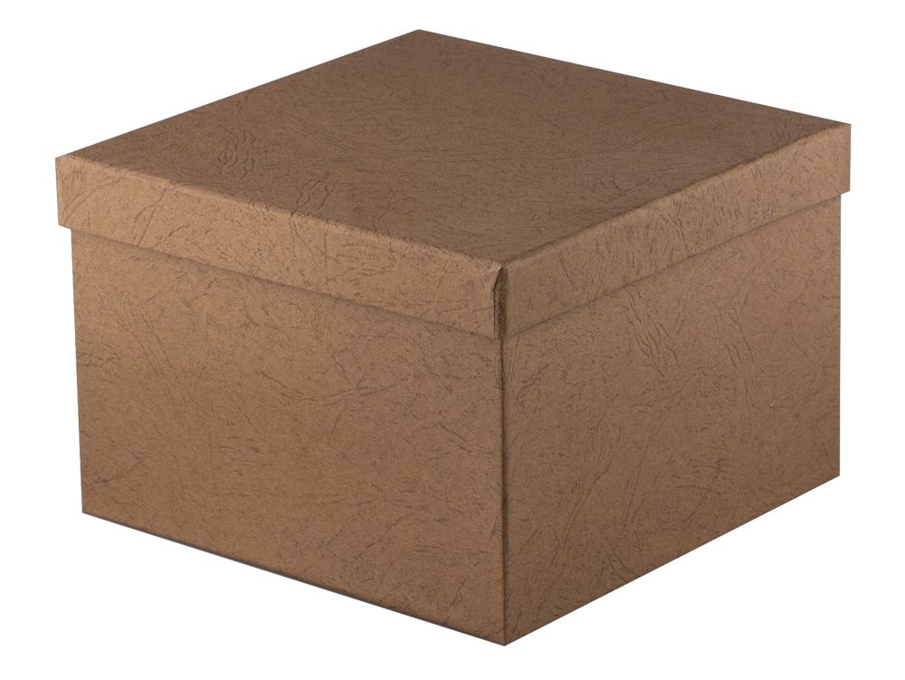 ������ ���� ��������