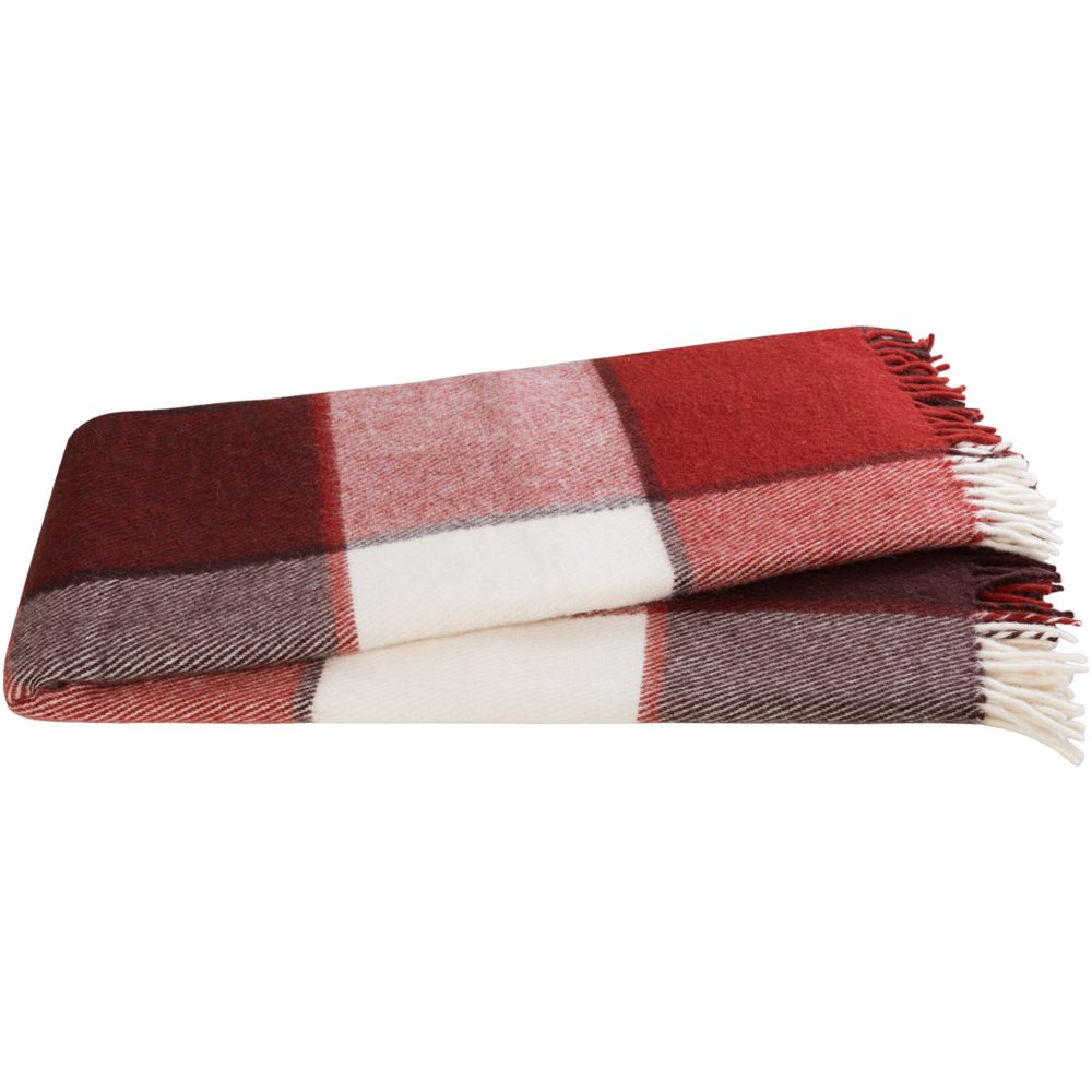 ���� ���������