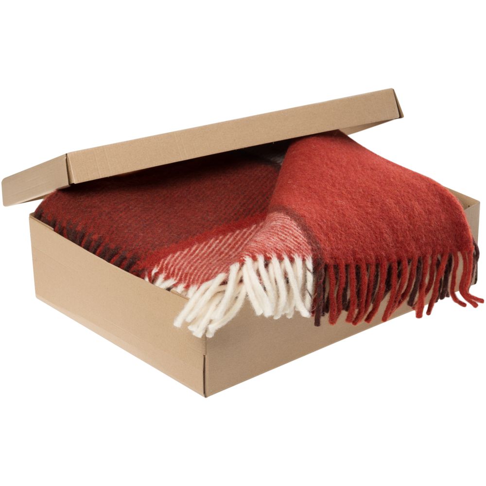 ���� ���������