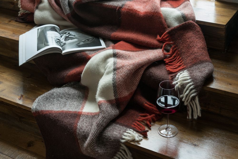 ���� ���������