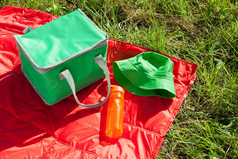 ������ Bizbolka Challenge, ����-�������