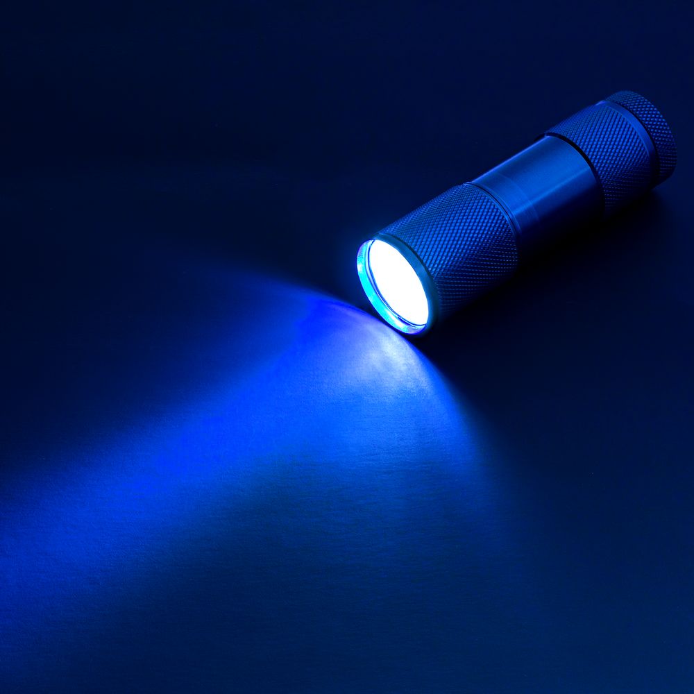 ������� Aurora, �����