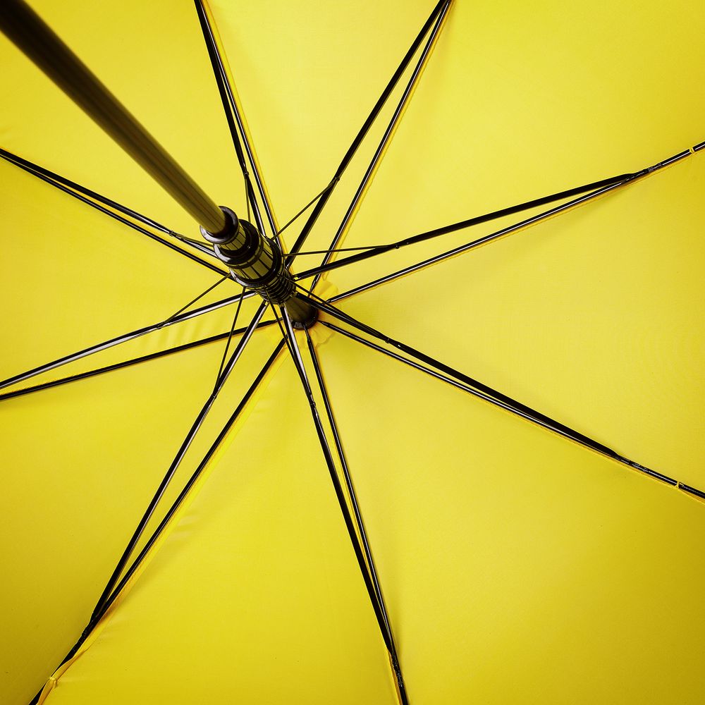 ����-������ � ���������� ������, ������