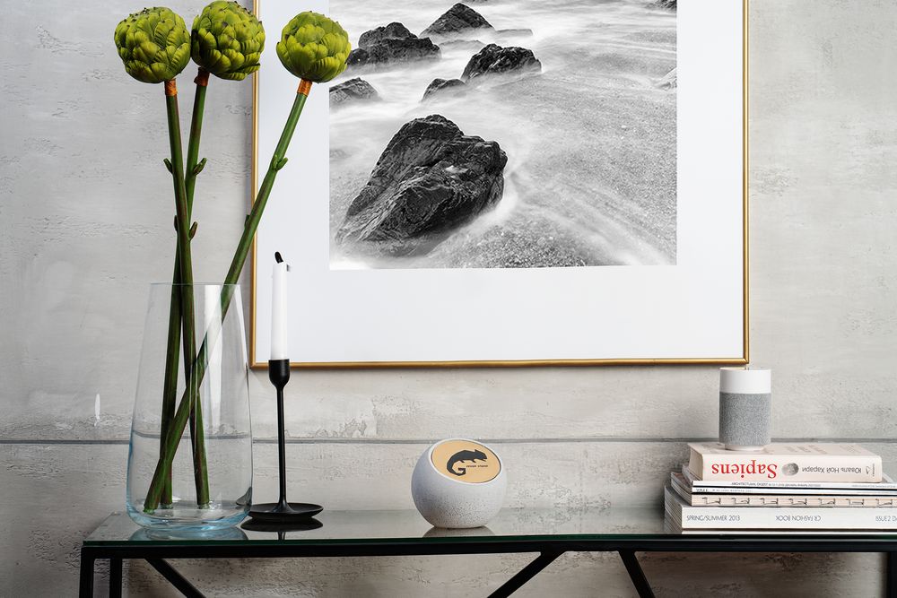 ������� BeTone