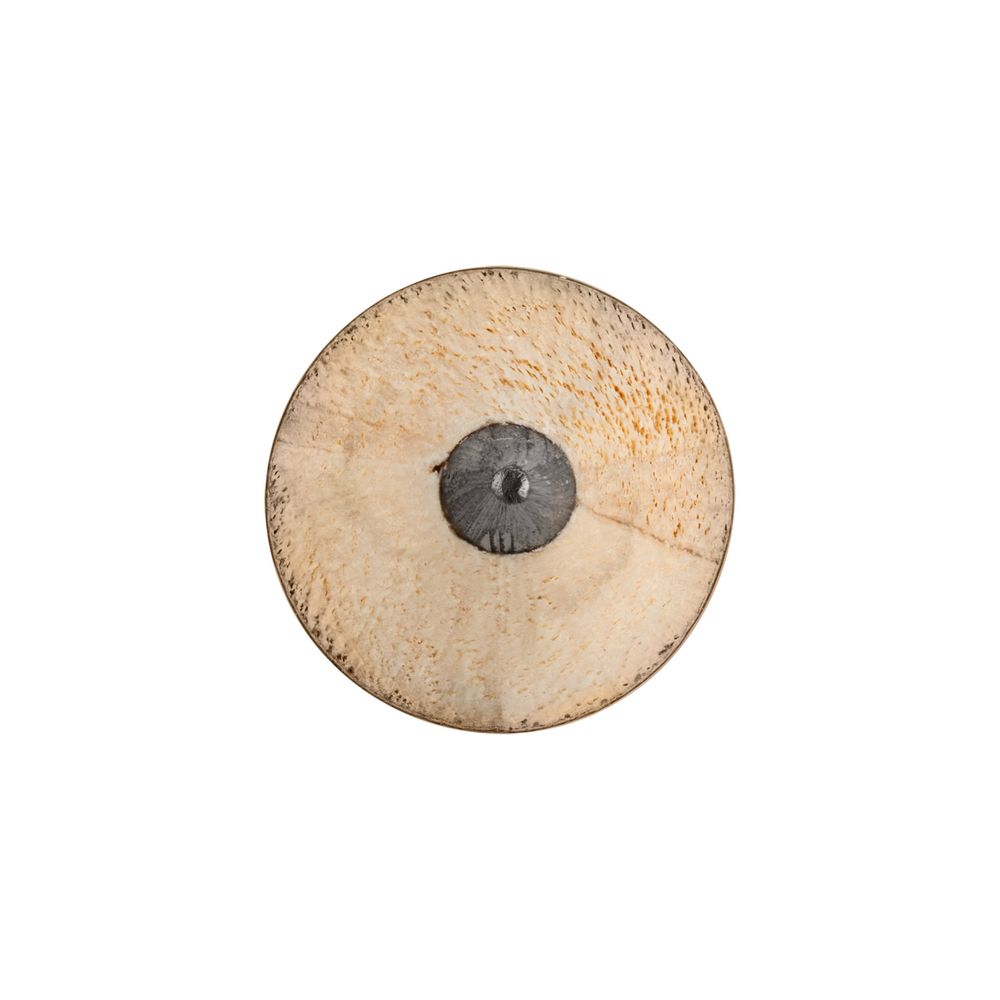 �������� ������� Hand Friend � ��������, ����������