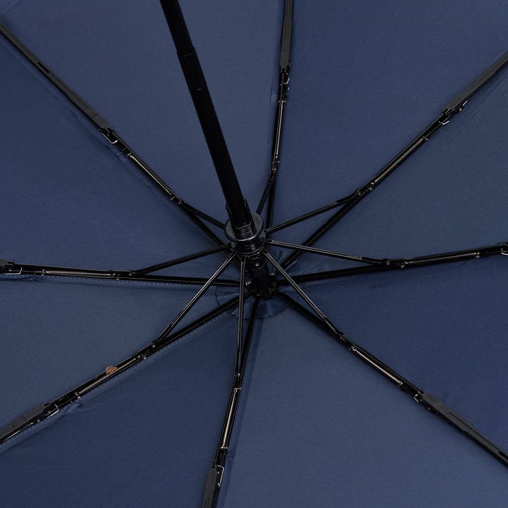 ���� Palermo, �����