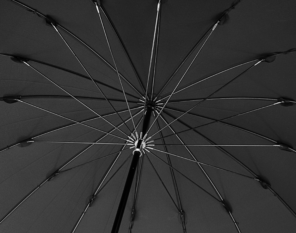 ����-������ Big Boss, ������