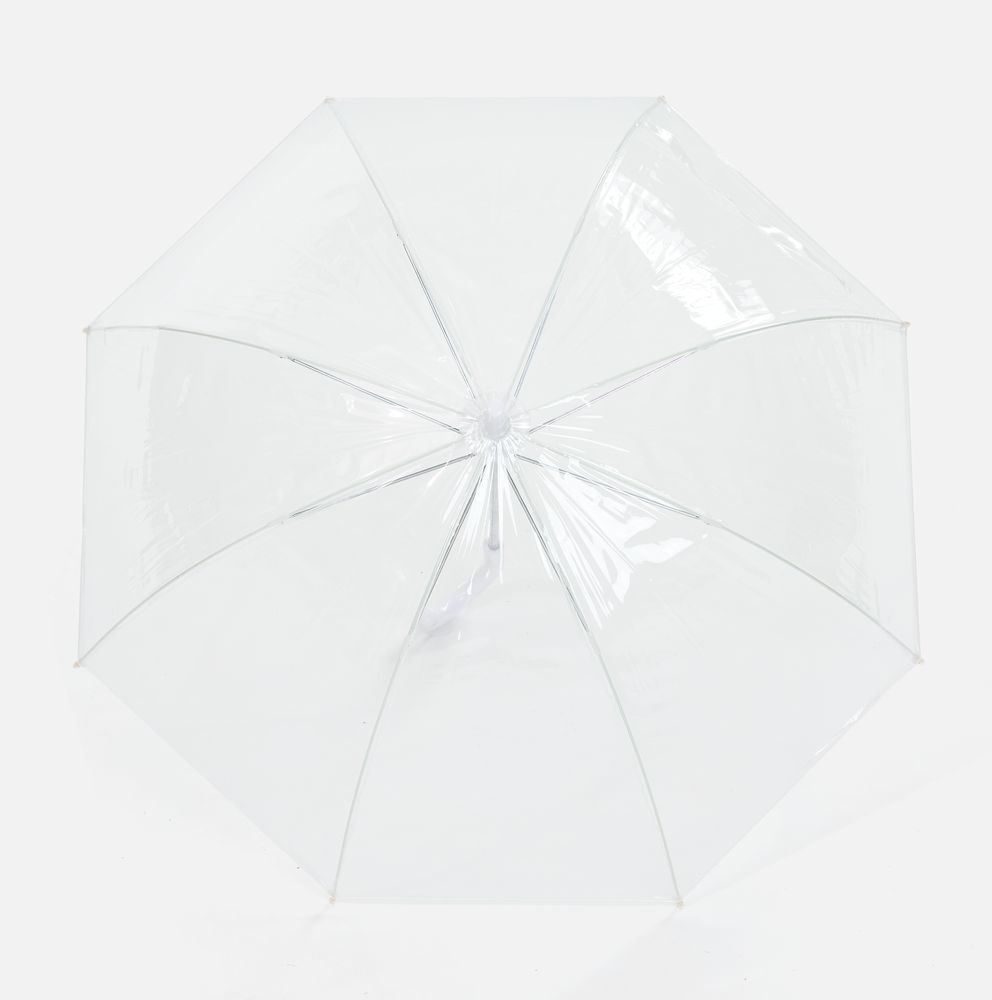 ���� ����������