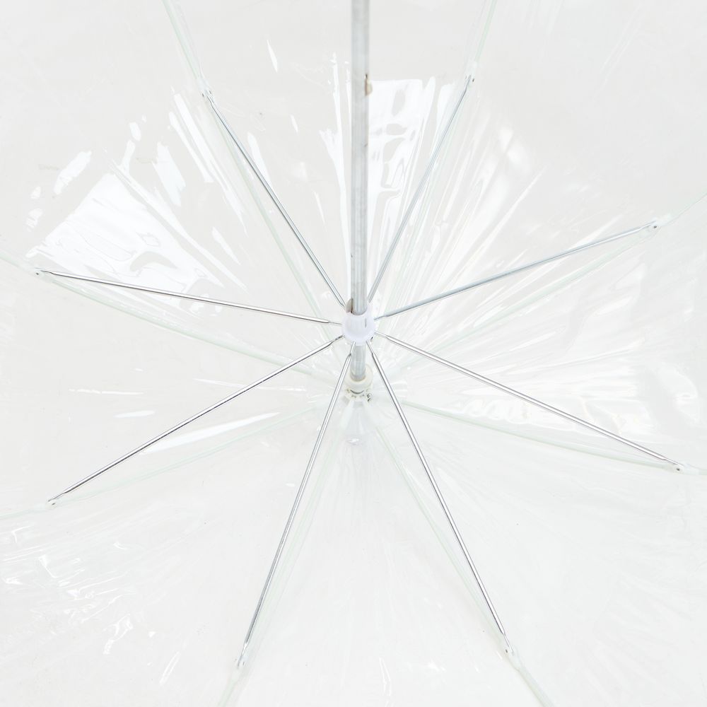 ���� ����������