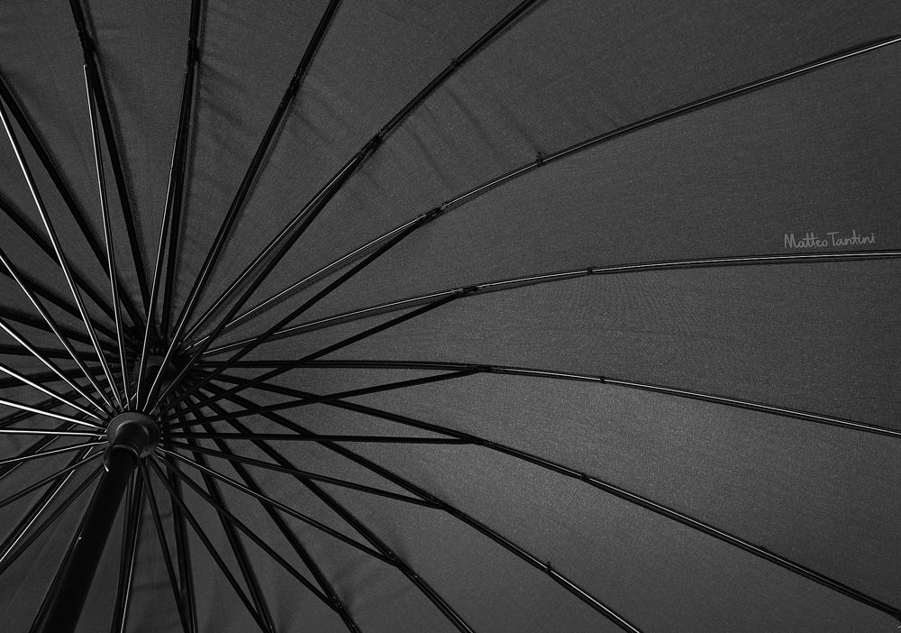 ���� ELLA, ������ � �����