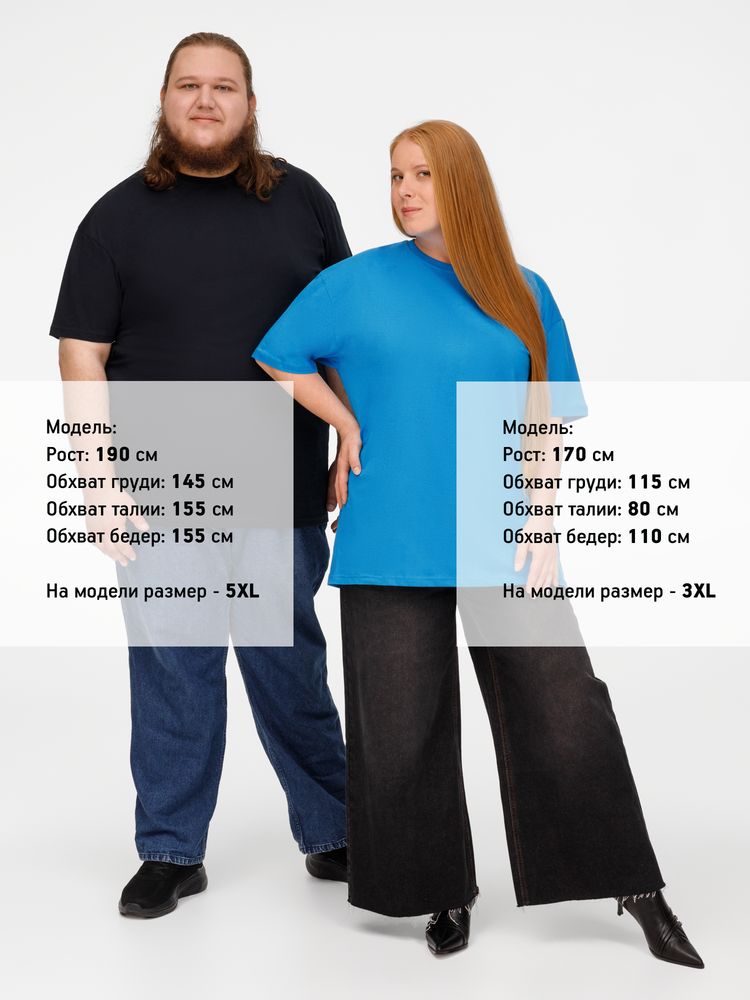 �������� ������� T-Bolka 160, ���������