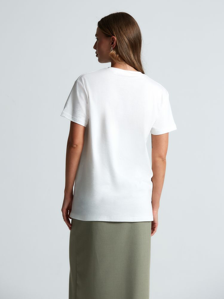 �������� ������� T-Bolka 160, ����� (�����������)