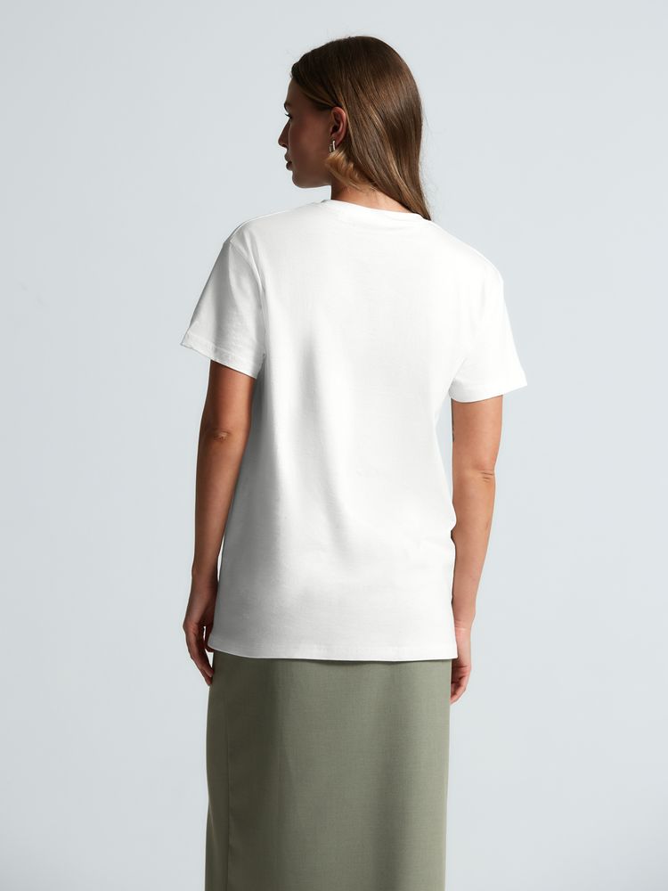 �������� ������� T-Bolka 160, ����� (�����������)